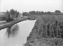 44342 Gezicht op de Kromme Rijn te Utrecht, ter hoogte van de toekomstige Breitnerlaan. Op de achtergrond de vervallen ...